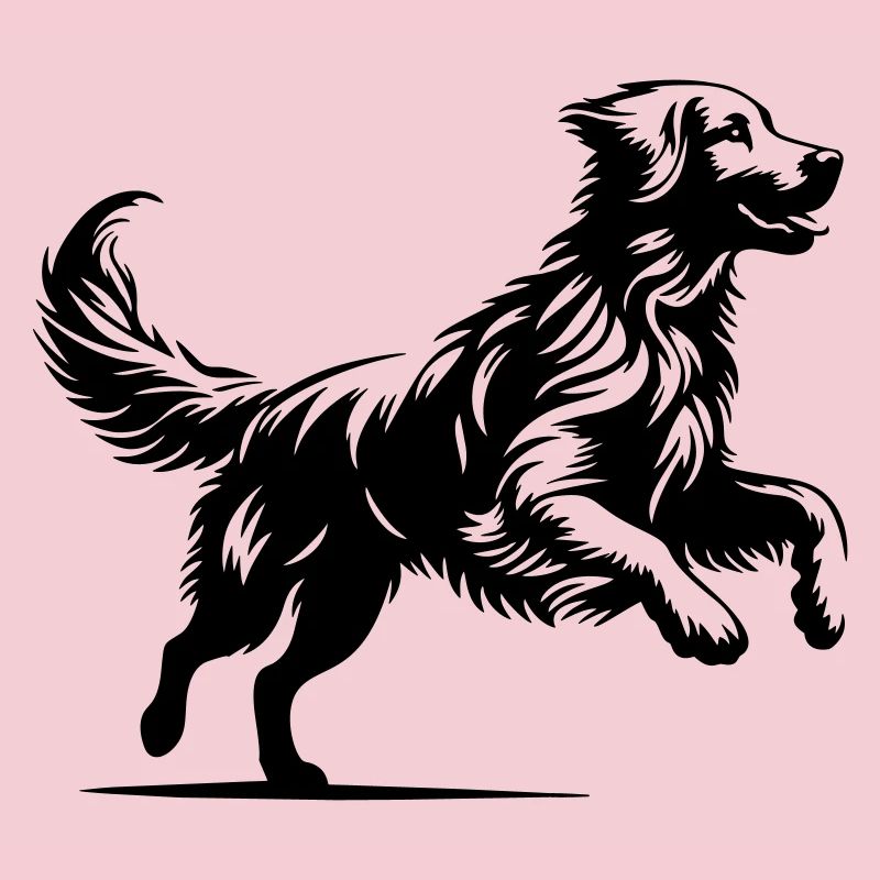 Golden retriever