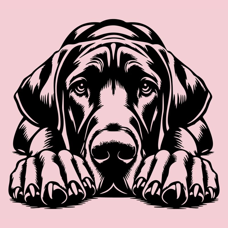 Dogue allemand
