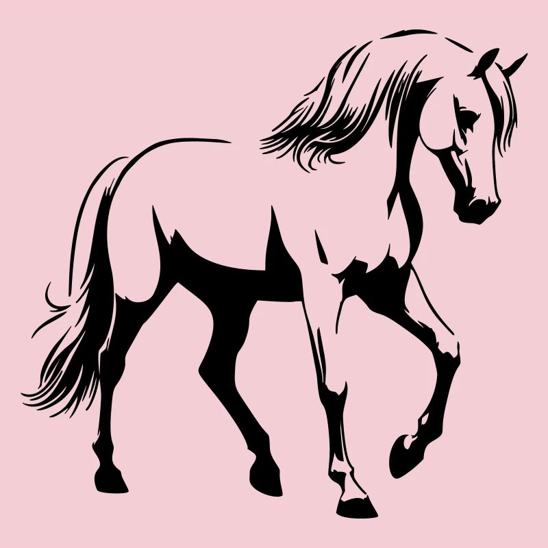Horse Arabian