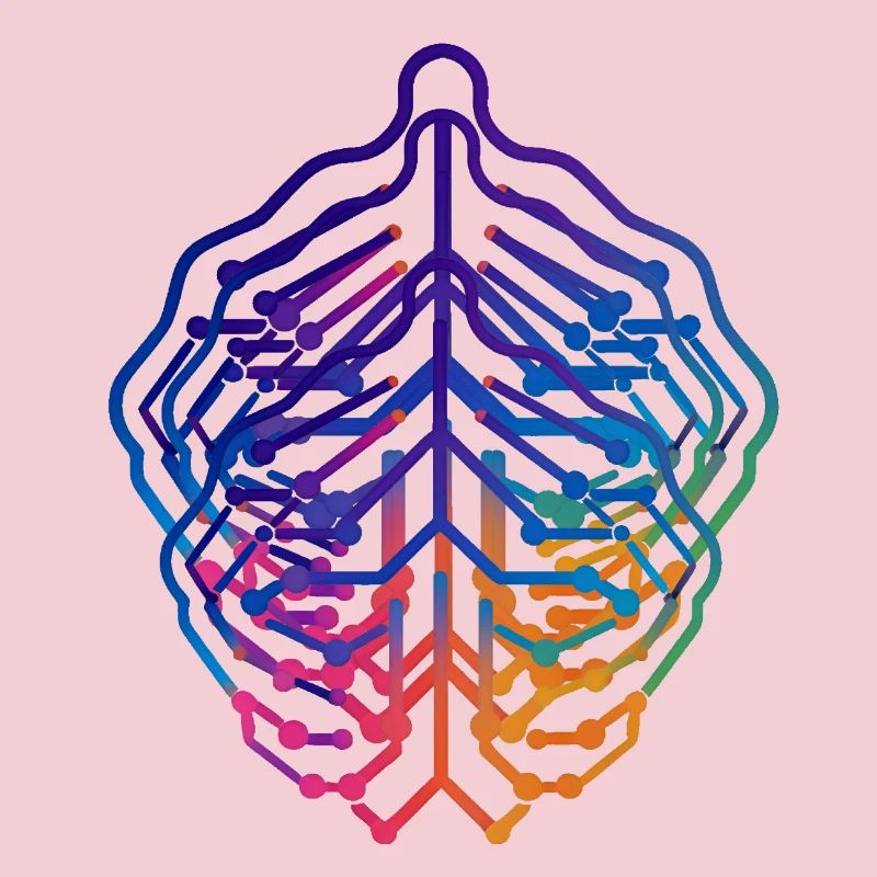 Conception de circuits neuronaux à feuilles