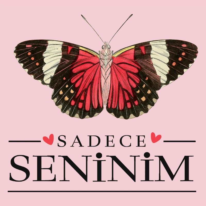 Conception créative de papillons – Sadece Seninim