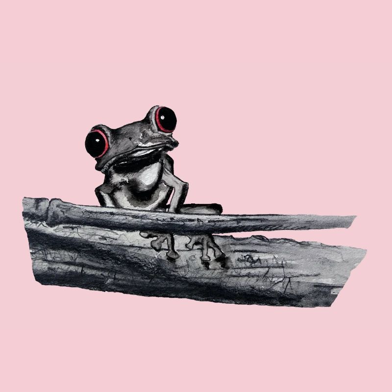 Rotäugiger Laubfrosch
