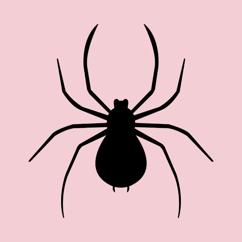 Spinne