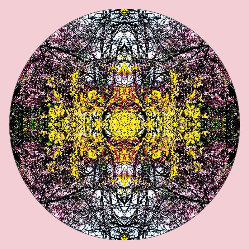 Source du Mandala de la nature dans le parc municipal