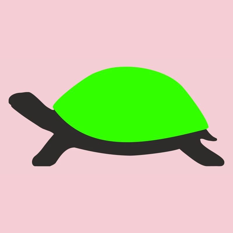 Tortue dessinée
