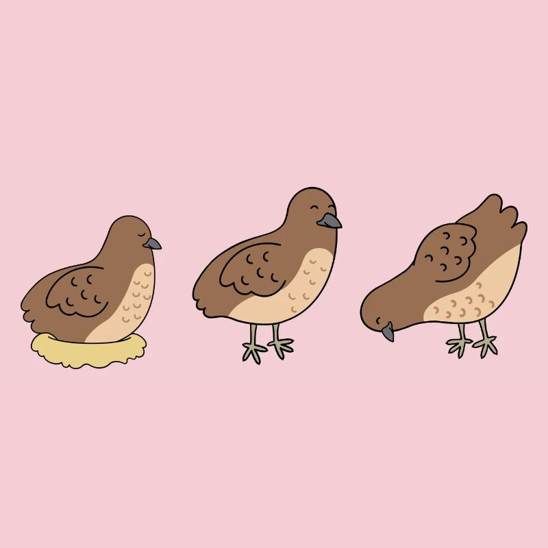 Three Quails - Minimalist Quail Design