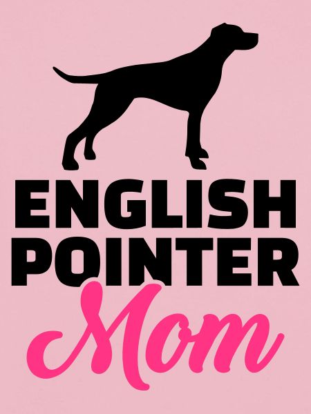 English Pointer
