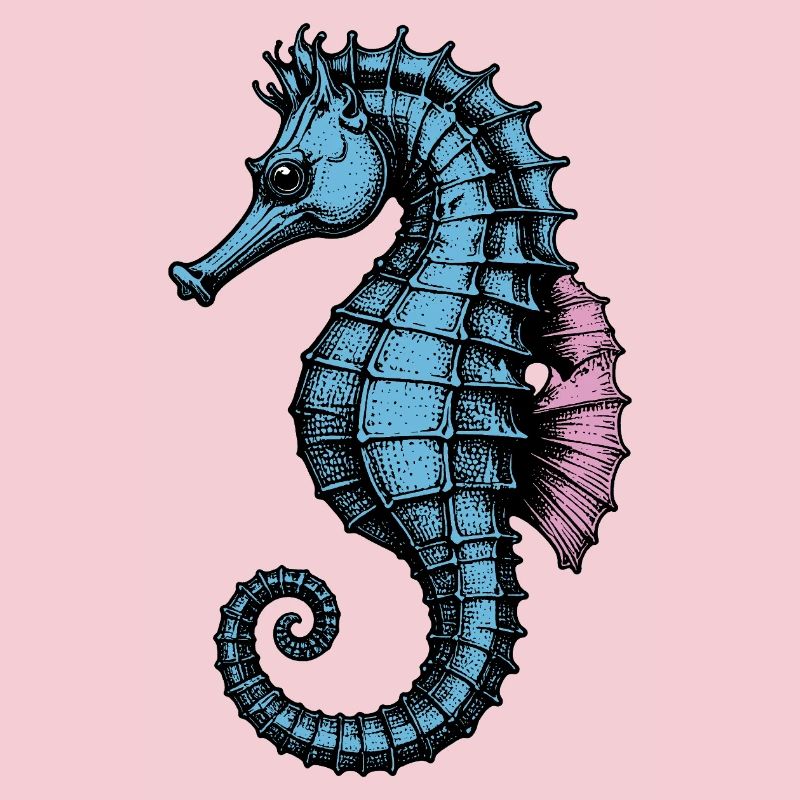 Seepferdchen