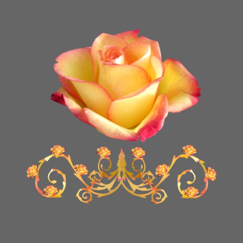 orange Rose, Ornament, Rosen, Blumen, Blüten, edel