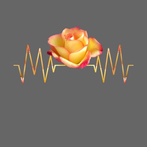Rose, Herzschlag, Rosen, Blume, Herz, Frequenz