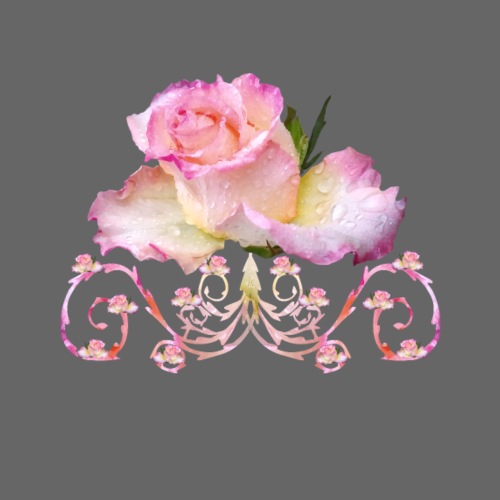 Rose pink, Ornament, Rosen, Blumen, Blüten, floral