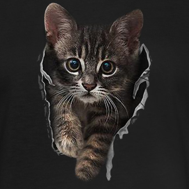 Vorschau: Katze Riss - Frauen Oversize T-Shirt