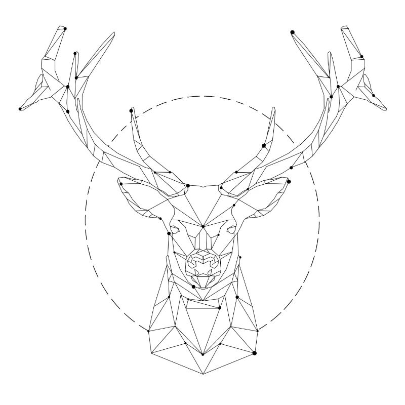 constellation Hirsch