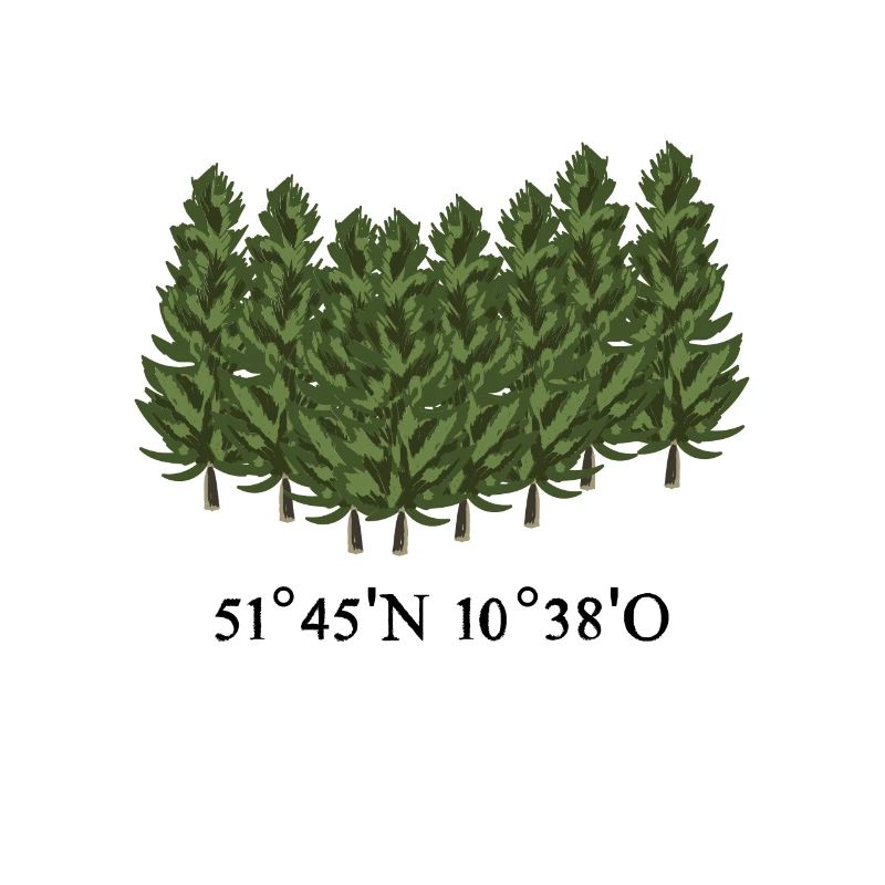 Coordonnées de la résine