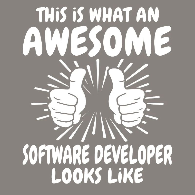 Software Developer