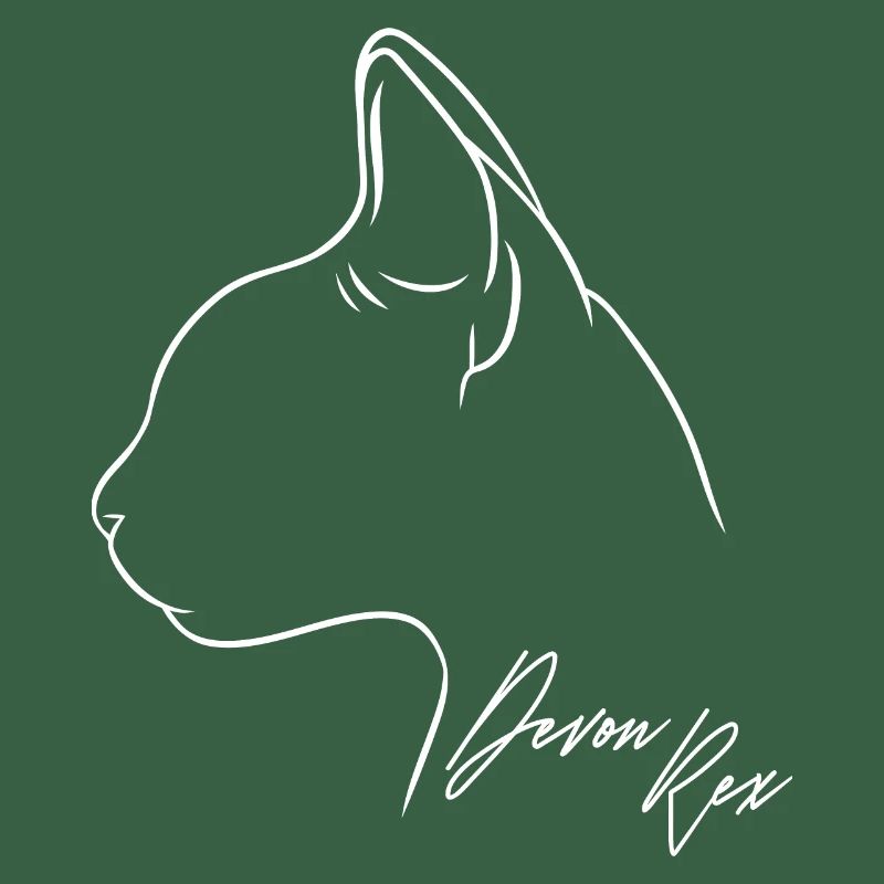 Devon Rex Profil Chat Chat Wilsigns