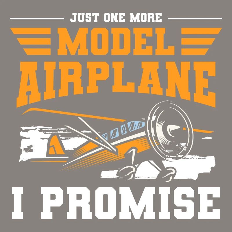 Model Airplane Model Airplane Model Making Remote Control