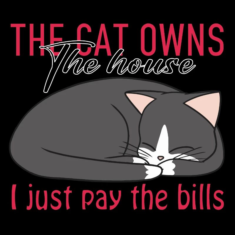 Chat mignon gris et blanc