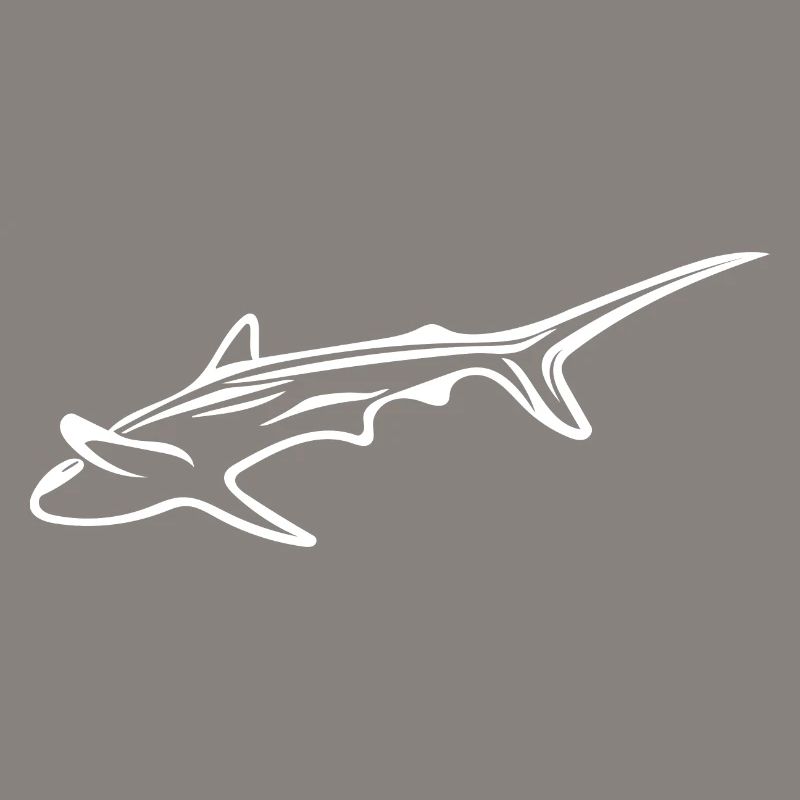 Requin élégant dans le courant de dérive