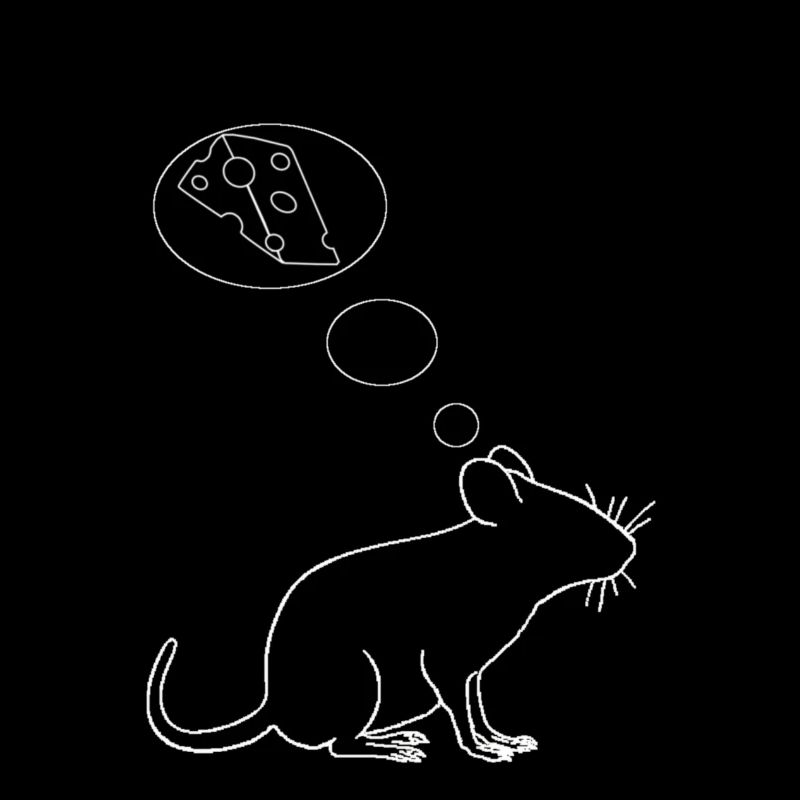 mousefinal transformed