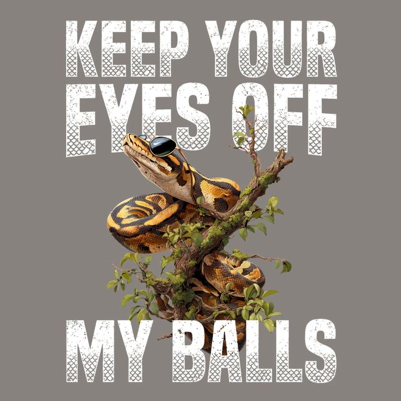 Königspython Schlangen Liebhaber Terrarium Python