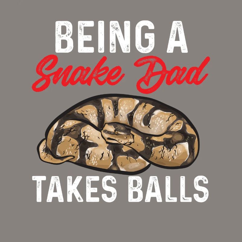 Ball Python Schlange Königspython