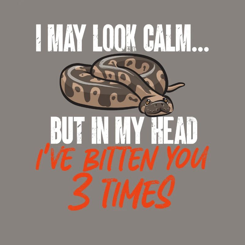 Ball Python Snake King Python