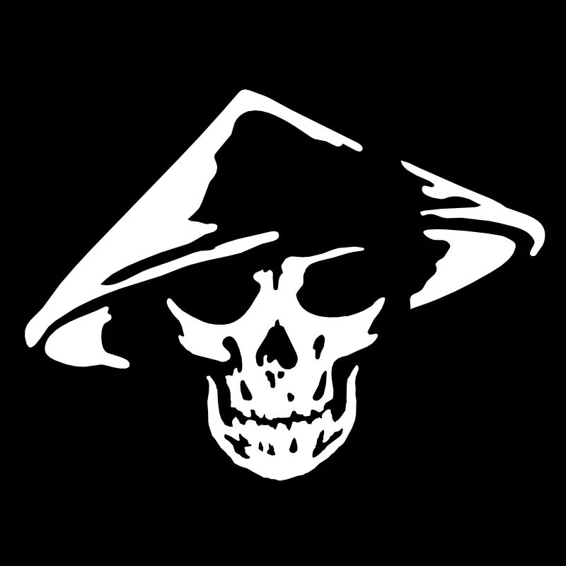 chinese skull