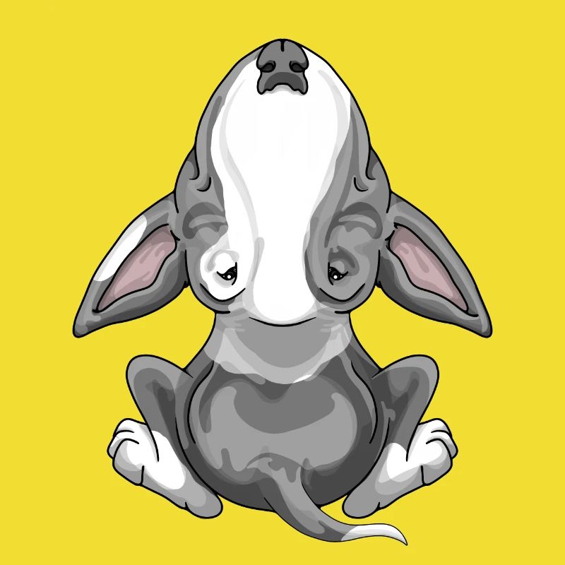 Bullterrier bekämpft graue Flecken