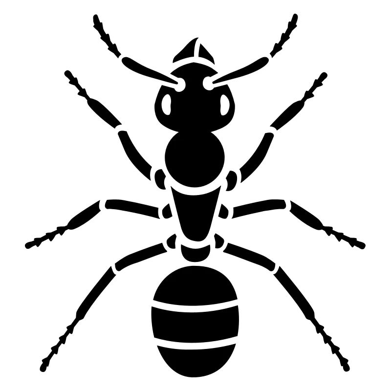 Insectes - Ant