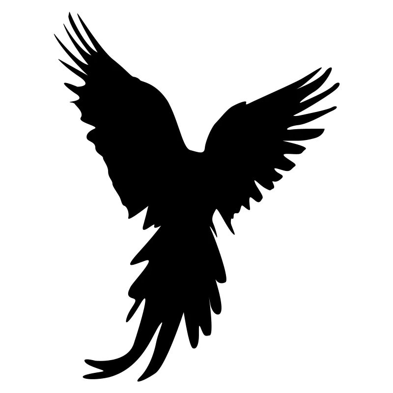 bird silhouette