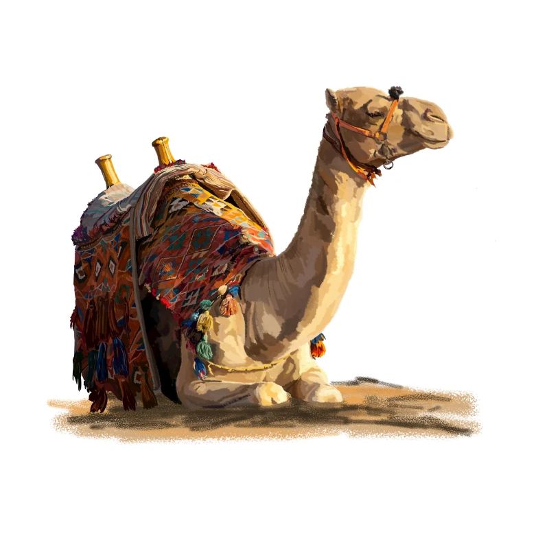 kamel