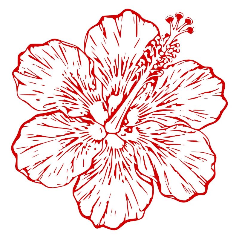 Cadeau de Noël de fleurs d’hibiscus hawaïen, fleurs d’hibiscus