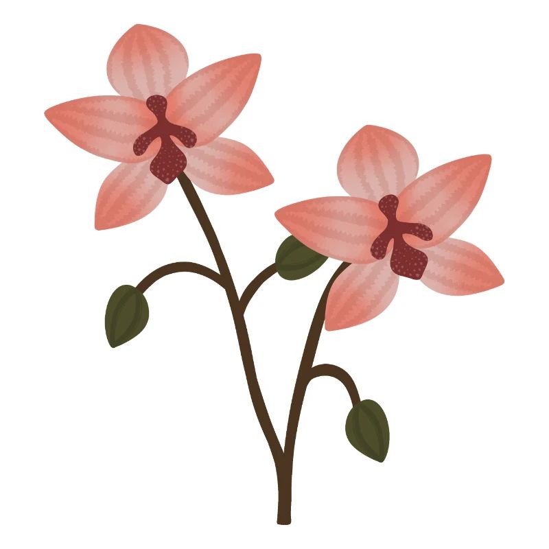 Fleur d’orchidée pastel