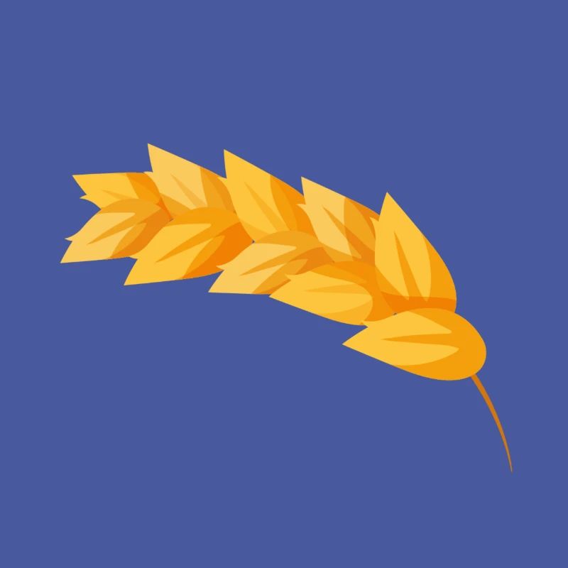 Corn grain corn