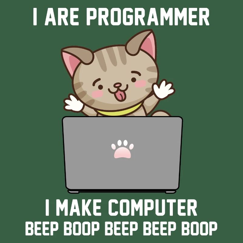 Programmeur