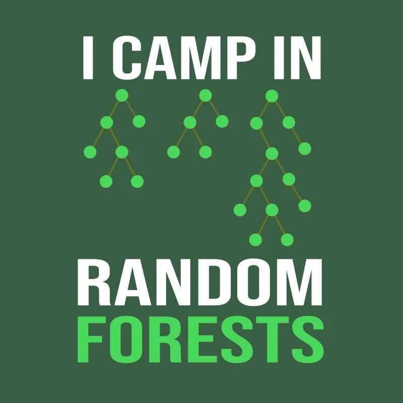 Programmeur Codeur GPT