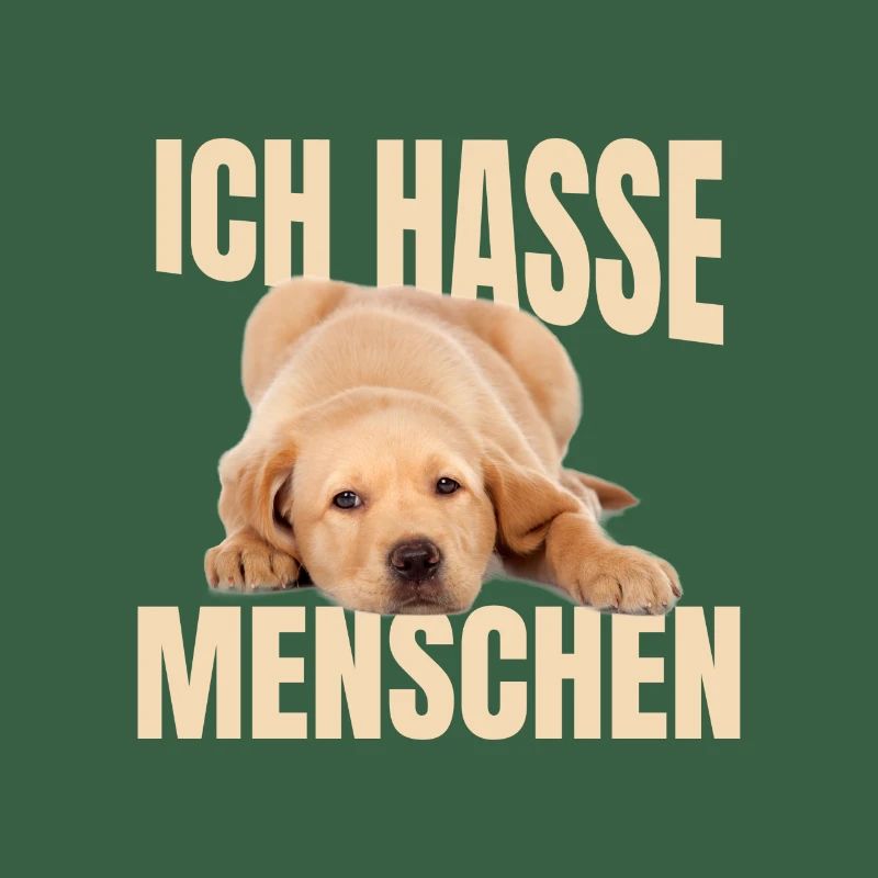 Mème du Labrador