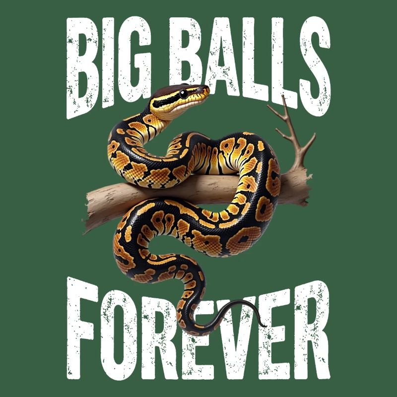 Python roi Serpents Amateurs de terrarium Python