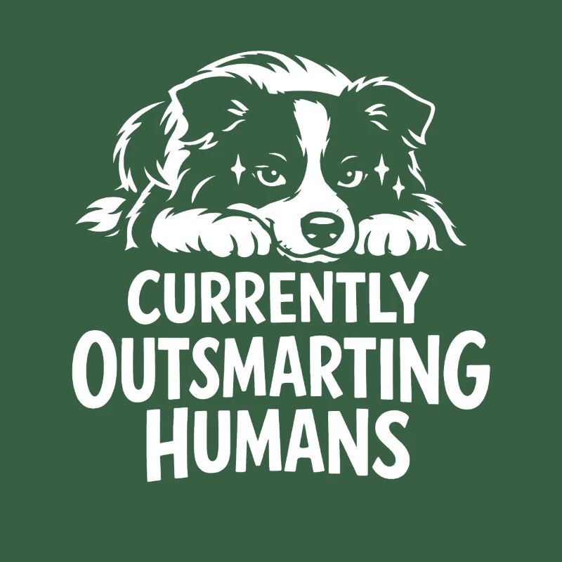 Plus intelligent que toi | Expression du Border Collie