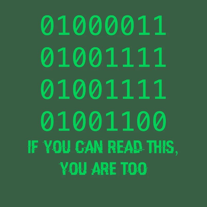 Computer Binary Code Developers Gift