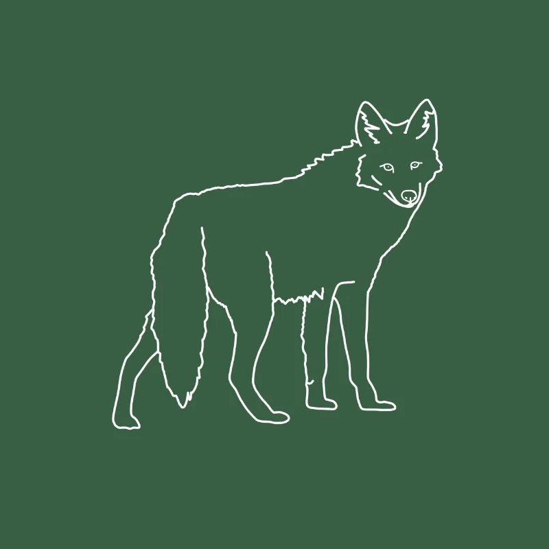 coyote