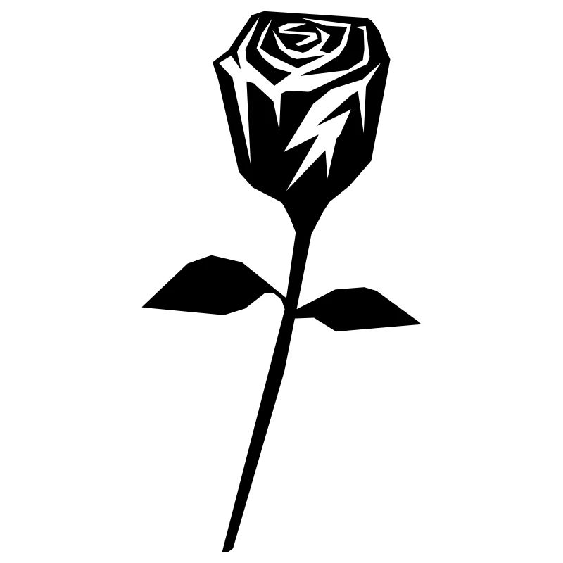 rose flower