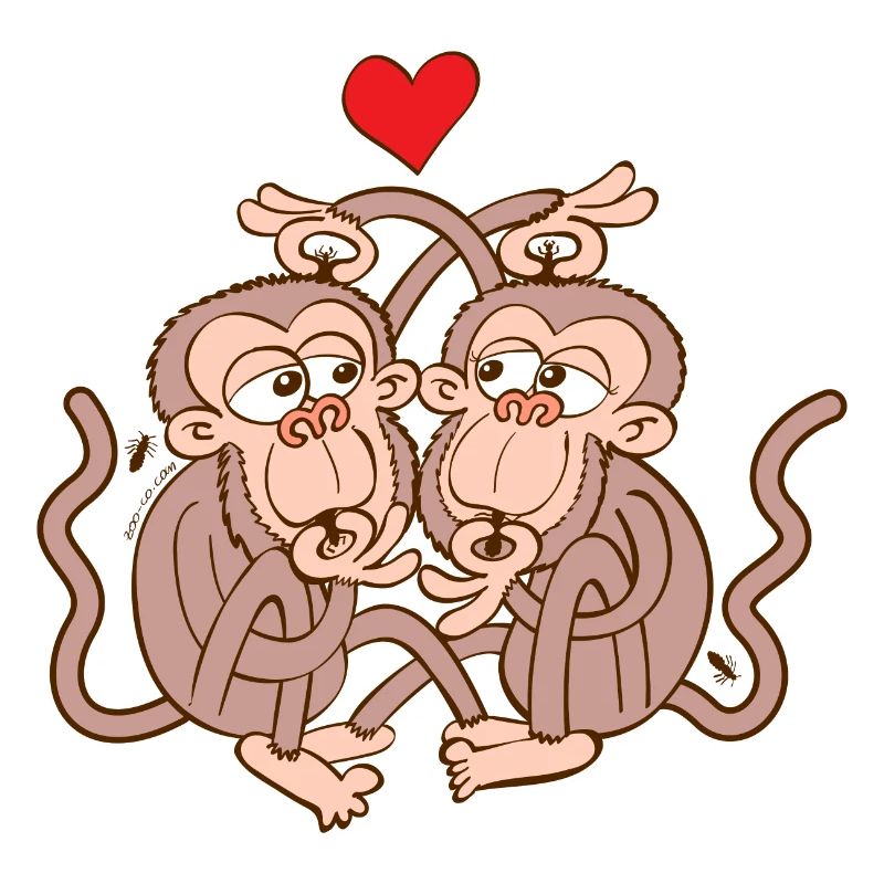 Monkeys Falling in Love while Eating Lice