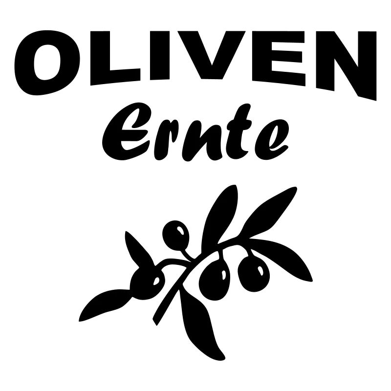 Olivenernte Oliven