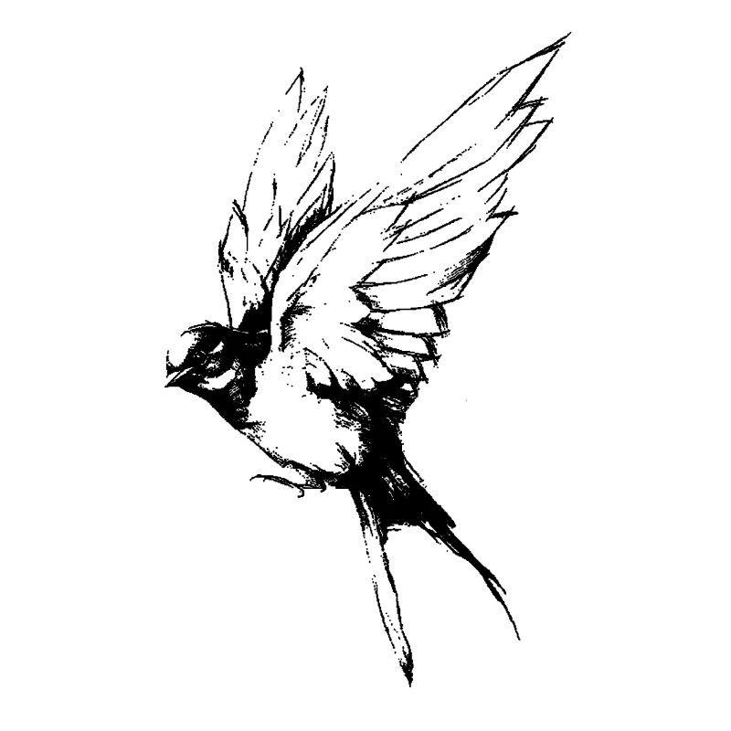 oiseau