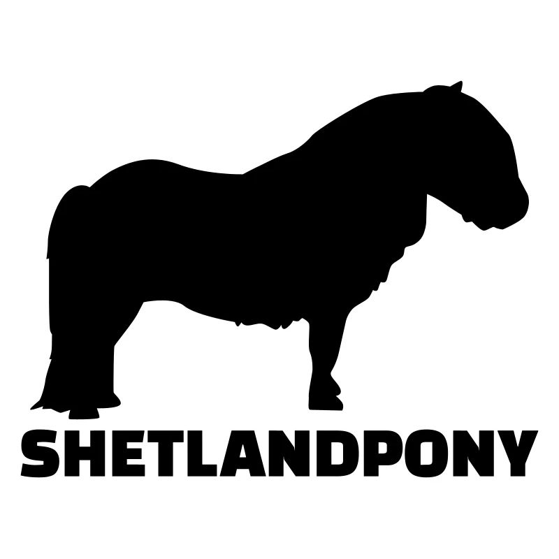 Shetlandpony
