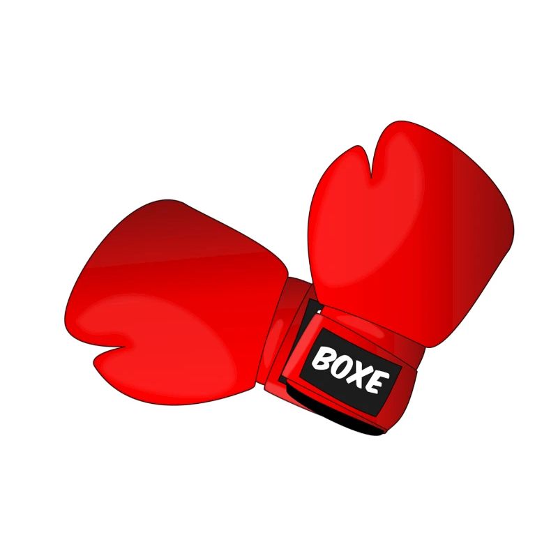 Boxhandschuhe