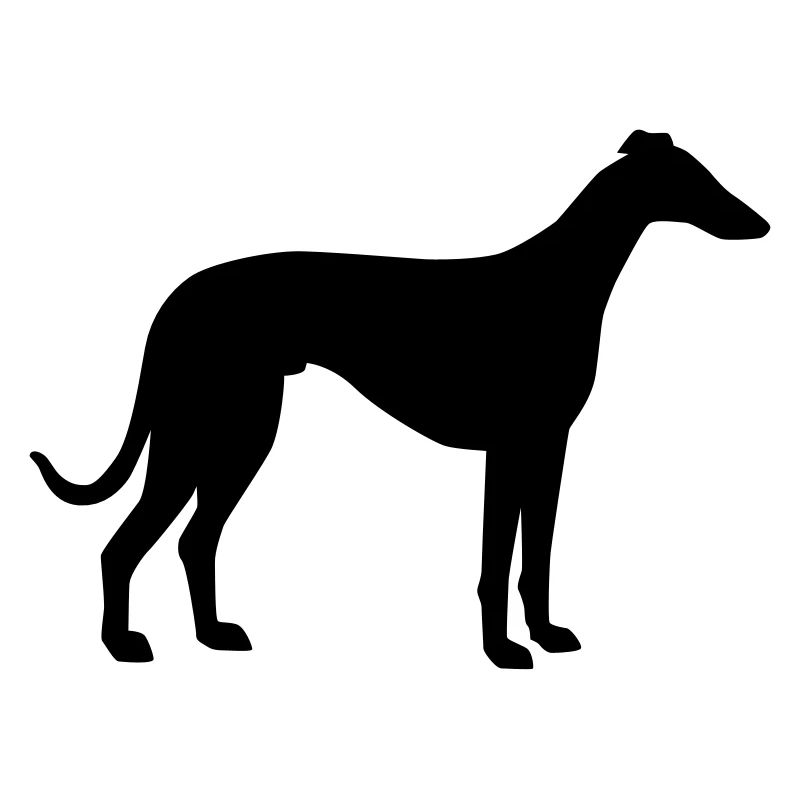 Lévrier
