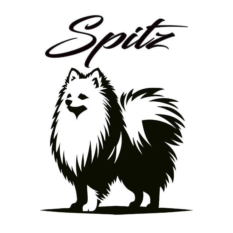Spitz Design – The Charming Whirlwind